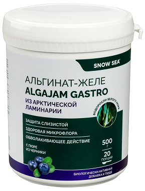 Snow sea (Сноу Сиа) альгинат-желе из арктической ламинарии с черникой algajam gastro 500 мл БАД