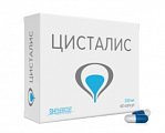 Купить цисталис, капсулы 350мг, 60 шт бад в Нижнем Новгороде