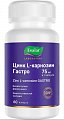 Купить цинк l-карнозин гастро, капсулы 60 шт бад в Нижнем Новгороде