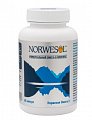 Купить норвесол омега 3, капсулы 500мг 60 шт. бад в Нижнем Новгороде