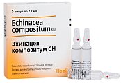 Купить эхинацея композитум сн, раствор для внутримышечного введения гомеопатический 2,2мл, 5шт в Нижнем Новгороде