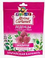 Купить alpine caramel (альпийская карамель) леденцы детские малина с медом и витамином с , 75г бад в Нижнем Новгороде
