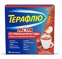 Купить терафлю экстра, порошок для приготовления раствора для приема внутрь, яблоко и корица, пакетики 15г, 10 шт в Нижнем Новгороде