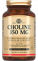 Купить solgar (солгар) холин 350мг, капсулы 100шт бад в Нижнем Новгороде
