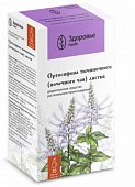 Купить ортосифона тычиночного (почечного чая) листья, фильтр-пакеты 1,5г, 20 шт в Нижнем Новгороде