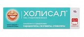 Купить холисал, гель стоматологический, 15г в Нижнем Новгороде