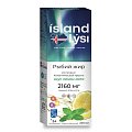 Купить lysi (лиси) рыбий жир со вкусом лимона и мяты, флакон 240мл бад в Нижнем Новгороде